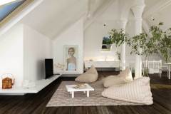 Attics Remodel.